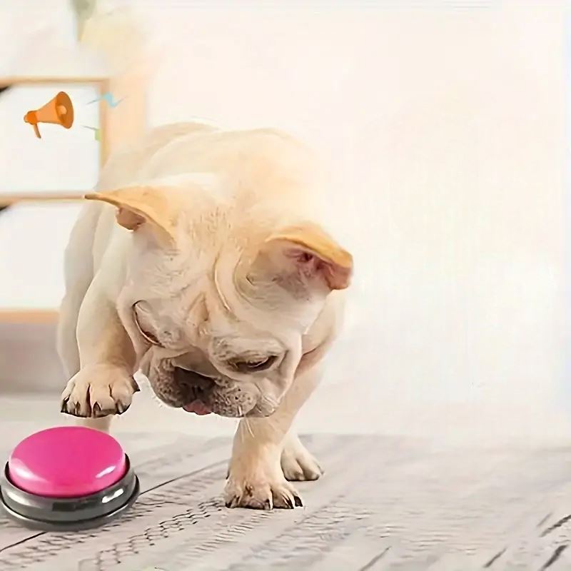 Jouet Interactif pour Chien / ChienParlant / Magenta - au royaume des chiens