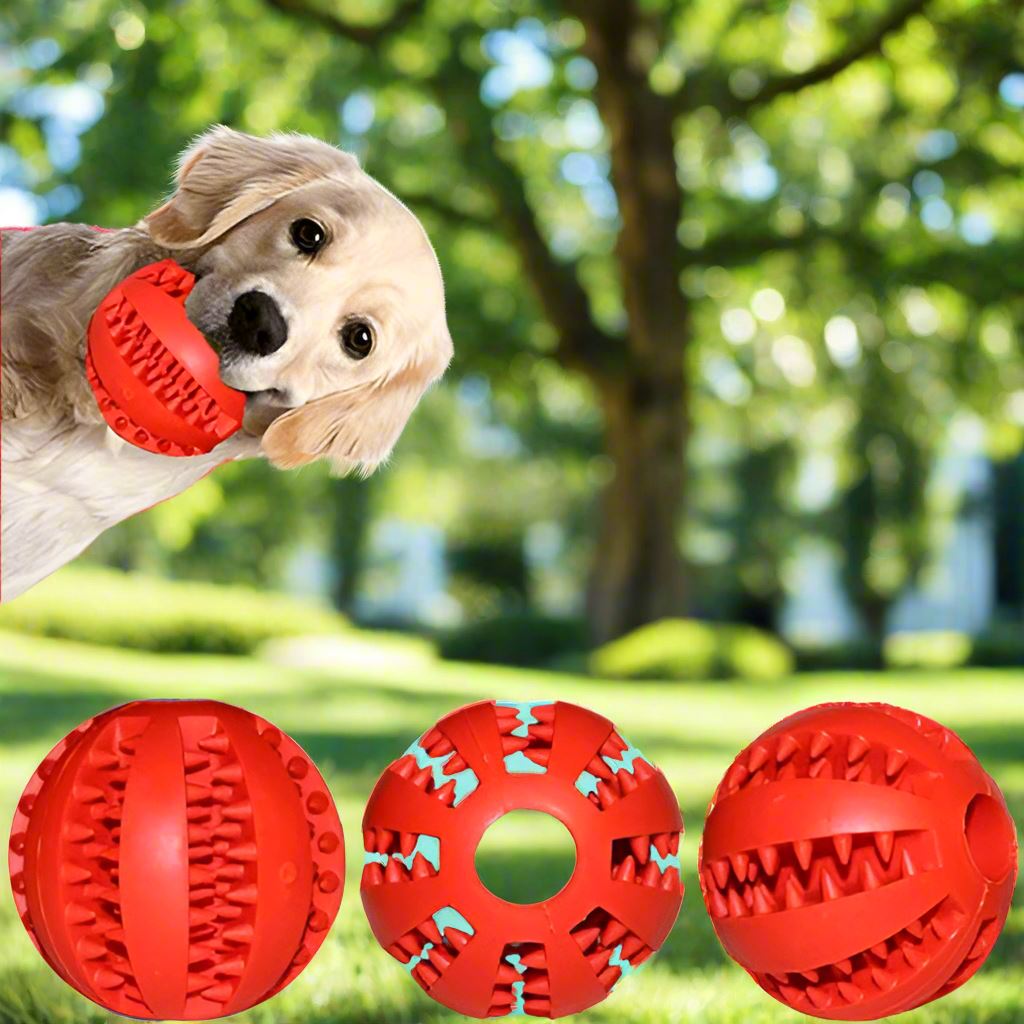 Balle pour Chien / Rouge - au royaume des chiens