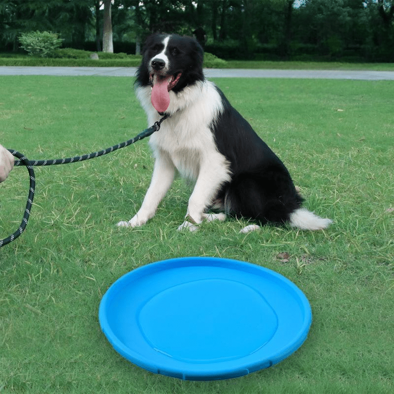 Frisbee chien - Bleu - au royaume des chiens