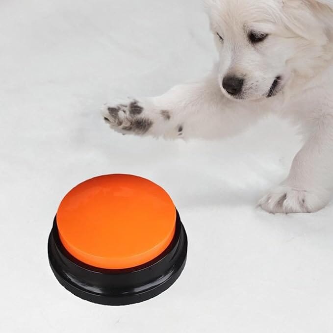 Jouet Interactif pour Chien / ChienParlant / Orange