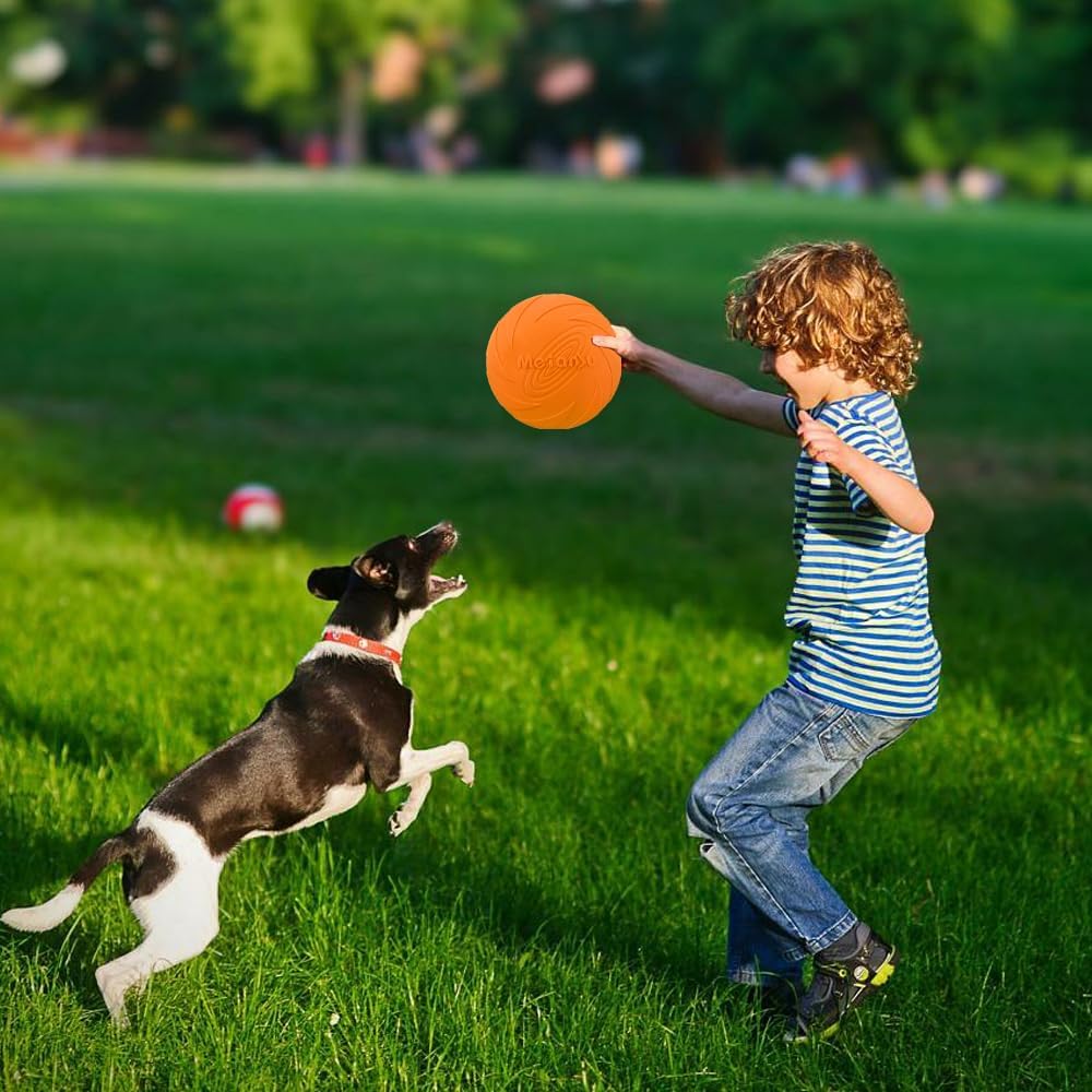 Frisbee chien - Orange