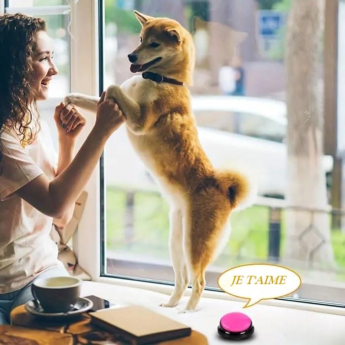 Jouet Interactif pour Chien / ChienParlant / Magenta - au royaume des chiens