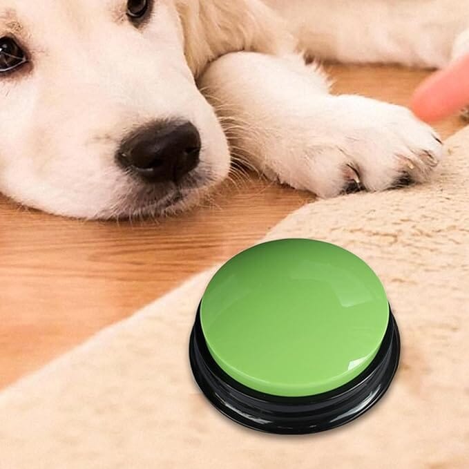 Jouet Interactif pour Chien / ChienParlant / Vert - au royaume des chiens