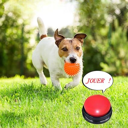 Jouet Interactif pour Chien / ChienParlant / Rouge - au royaume des chiens