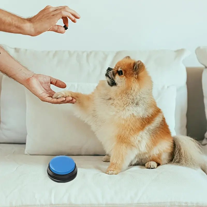 Jouet Interactif pour Chien / ChienParlant / Bleu Clair - au royaume des chiens