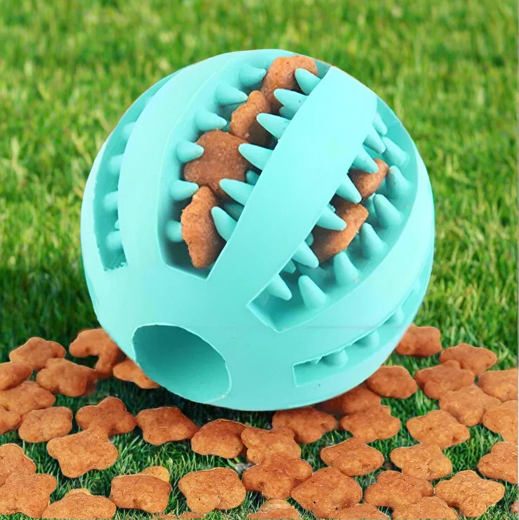 Balle pour chien / Cyan - au royaume des chiens