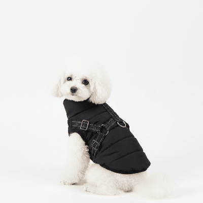 Chien manteau - avec harnais intégré chaud et coupe vent noir bichon fond blanc photo produit vue de côté