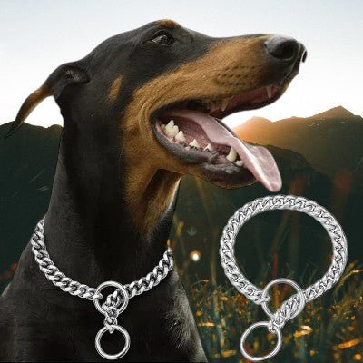Collier pour Chien - Chaîne Acier Inoxydable - au royaume des chiens
