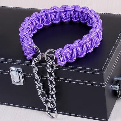 Collier-pour-chien-grande-taille-mauve-demo