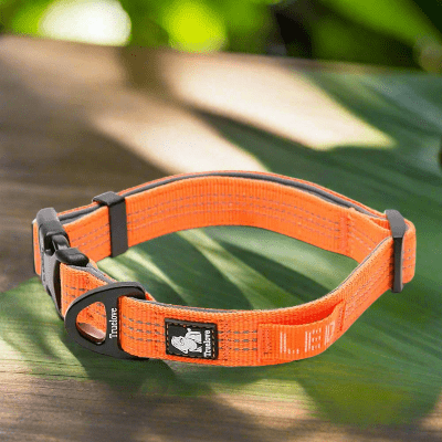 Collier-pour-chien-reflechissant-orange
