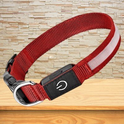 Collier chien lumineux - LED sécurité nocturne - au royaume des chiens