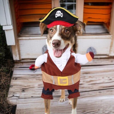 Costume chien - pirate - au royaume des chiens