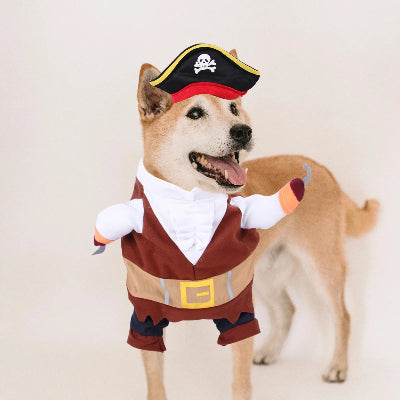Costume-chien-pirate-rigolo