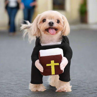 Costume-chien-prĂȘtre-chien-promenade-rue