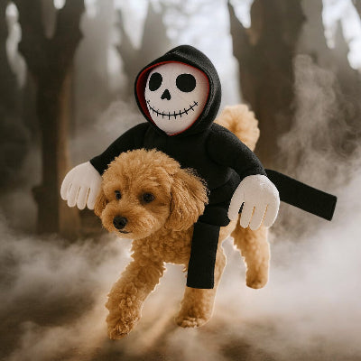 Costume-pour-chien-hot-dog-terrier-avec-costume-exterieur-maison