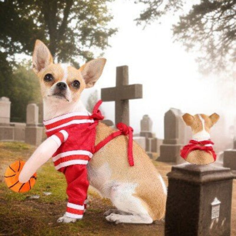 Costume pour chien - basket-ball - demo--chiwawa-au-cimetiere