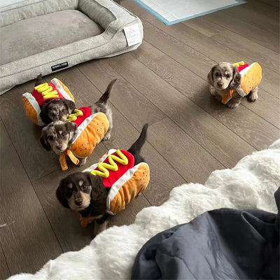 Costume-pour-chien-hot-dog-quatres-chiens-deguiser-salon-nous-regardent