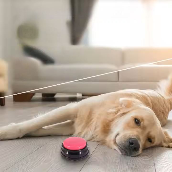 Jouet Interactif pour Chien / ChienParlant / Magenta - au royaume des chiens