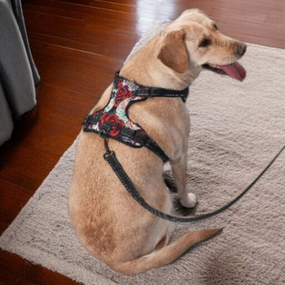 Harnais-en-Y-tete-squelette-et-rose-chien-avec-laisse