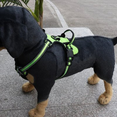Harnais pour chien - réfléchissant - au royaume des chiens