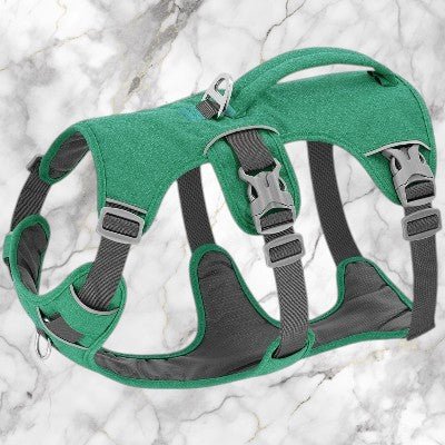 Harnais pour Chien Léger - Respirant Confort Promenade-vert