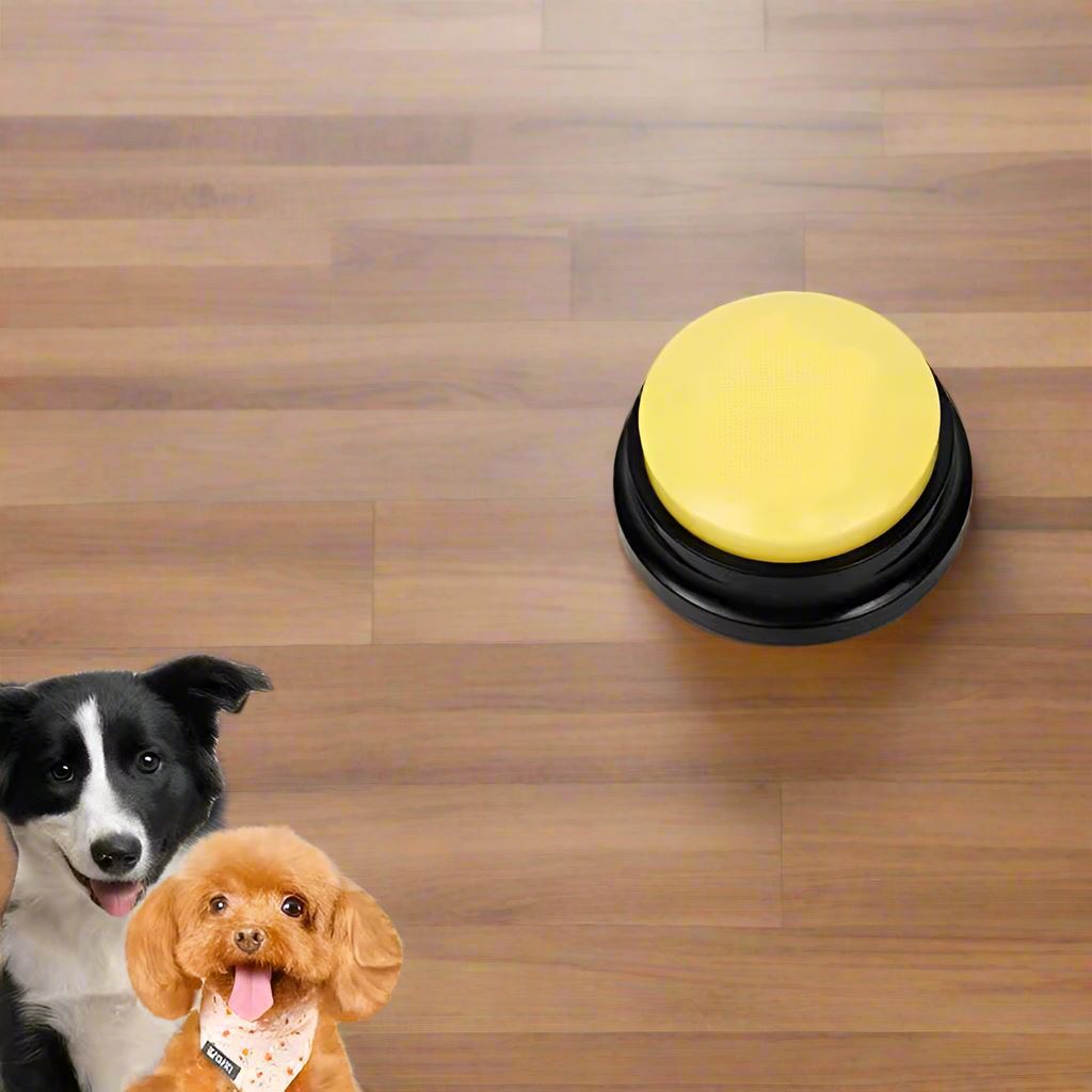 Jouet Interactif pour Chien / ChienParlant / Jaune - au royaume des chiens