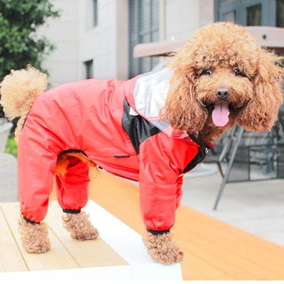Imperméable chien – combinaison imperméable veste de pluie - au royaume des chiens