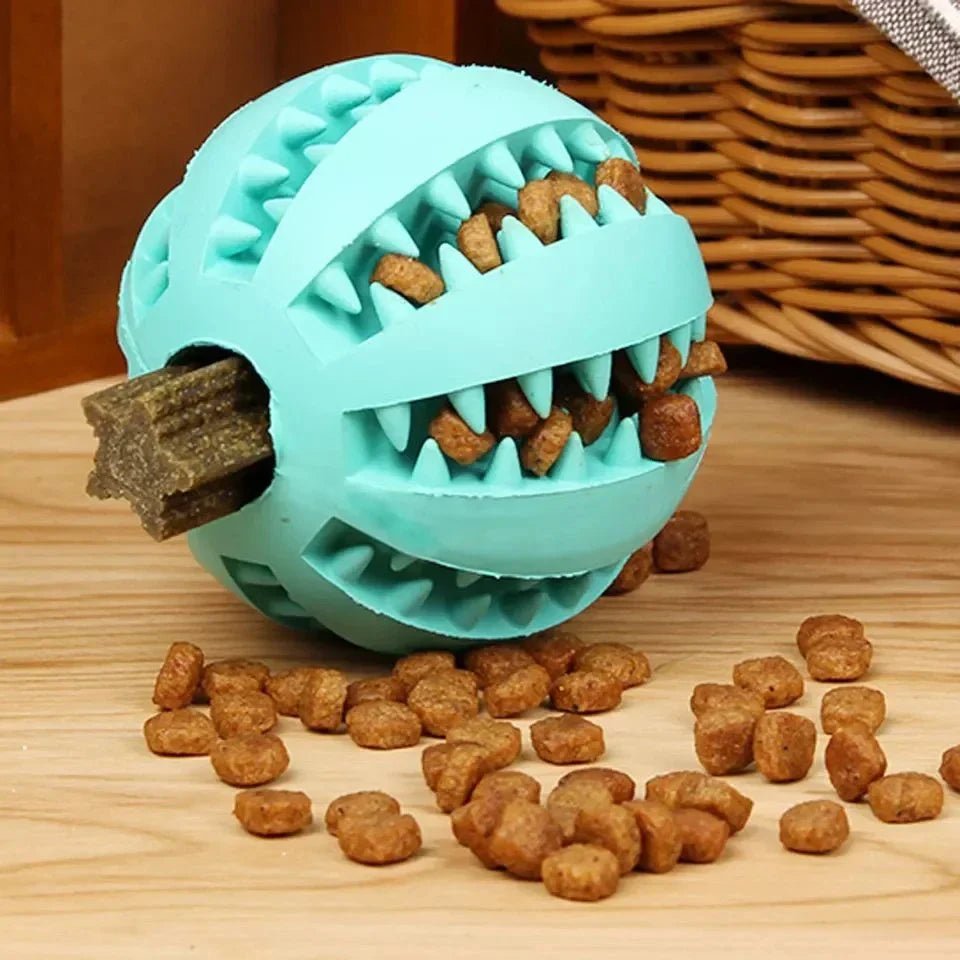 Balle pour chien / Cyan - au royaume des chiens
