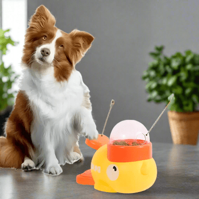 Jouet interactif pour chien - distributeur automatique de friandises - au royaume des chiens