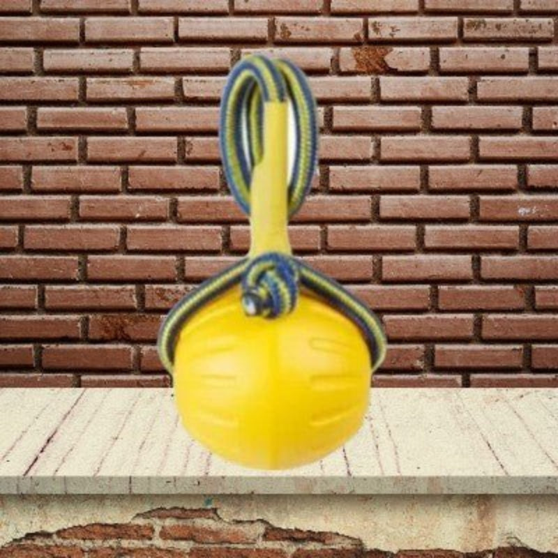 Jouet-pour-chien-mache-grosse-balle-lancer-9cm