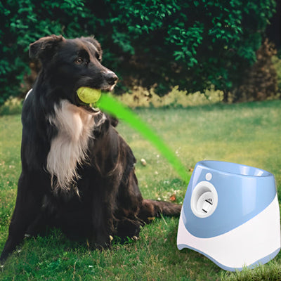 Jouet pour chien - Lanceur de Balle Automatique pour Chien -chien-joue-avec-bleu