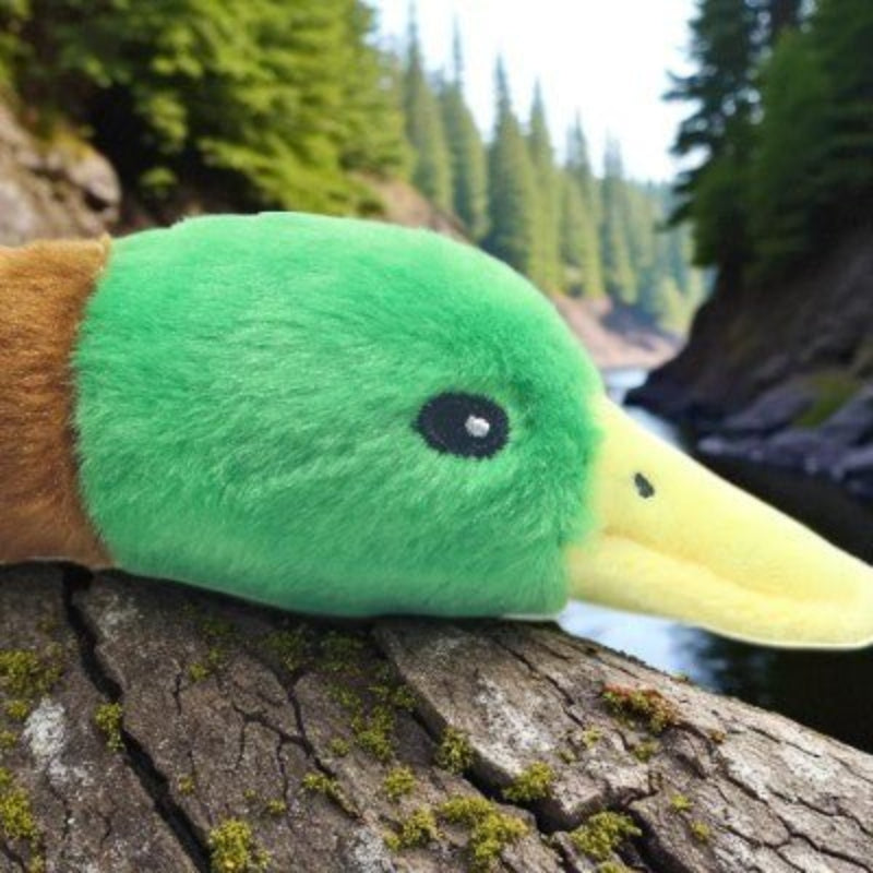Jouets-pour-chien-canard-couineur-tete