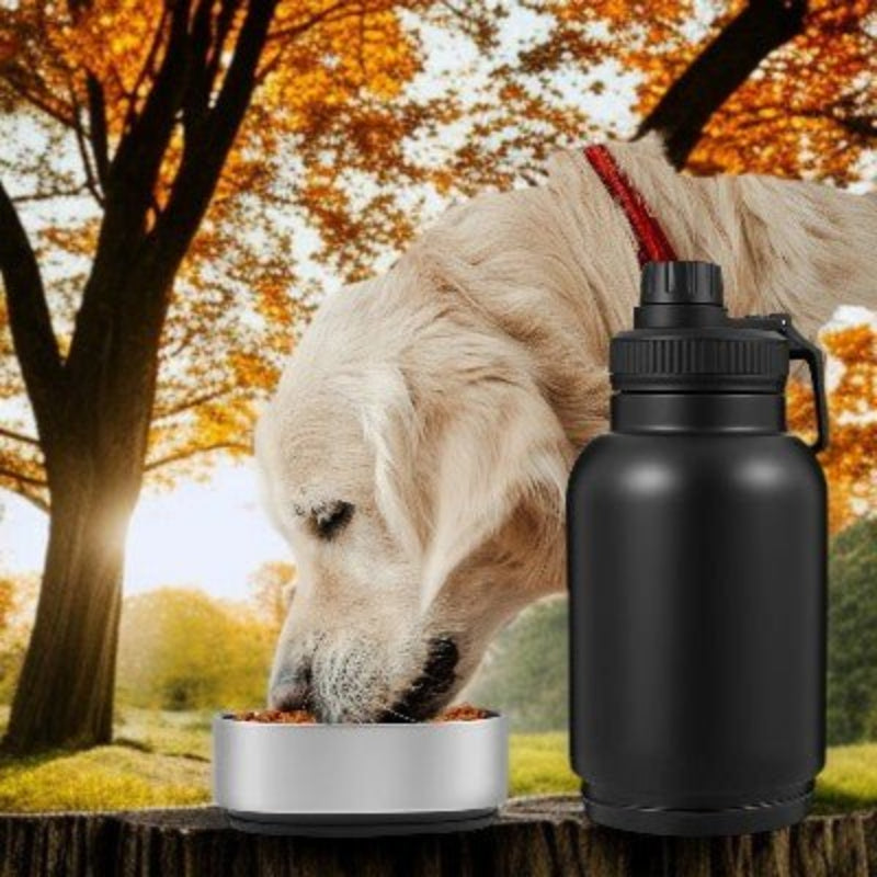 Coffret Aventure Canine Sac à dos Gourde 3-en-1 pour chien gourde isotherme golden retriever mangeant dans bol en plein air