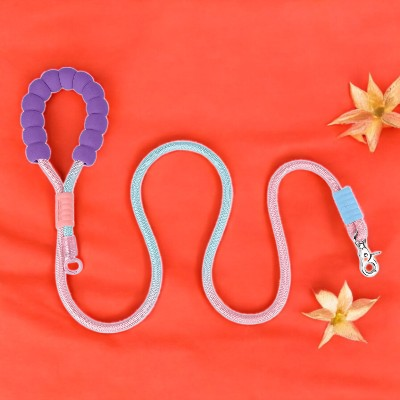 Laisse-de-chien-corde-antitraction-bleu-pale