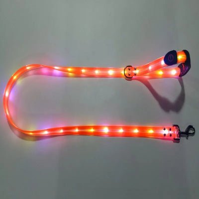 Laisse pour chien / lumineuse - au royaume des chiens