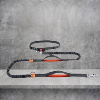 Laisse-pour-chien-retractable-reflechissant-orange