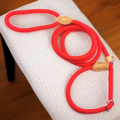 Laisse chien - corde nylon-rouge-1.5m