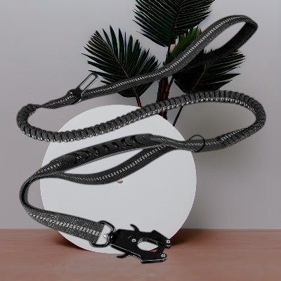 Laisse pour chien - ceinture sécurité voiture voyage confort - au royaume des chiens