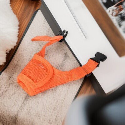 Museliere-anti-aboiement -pour-chien -orange