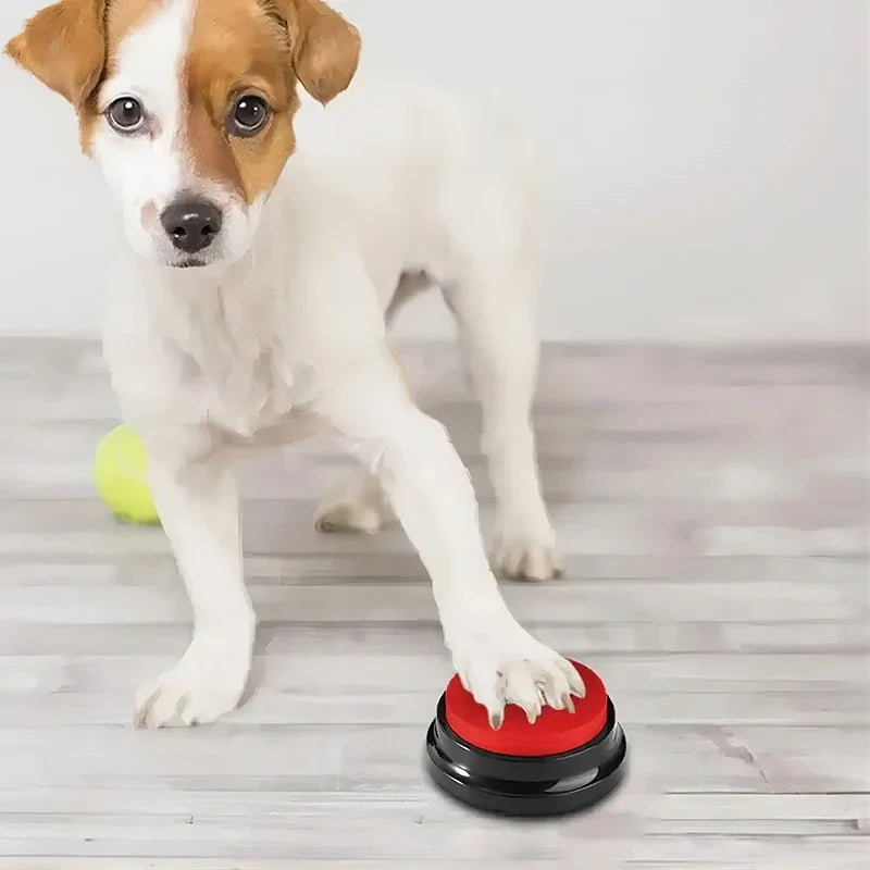 Jouet Interactif pour Chien / ChienParlant / Rouge - au royaume des chiens