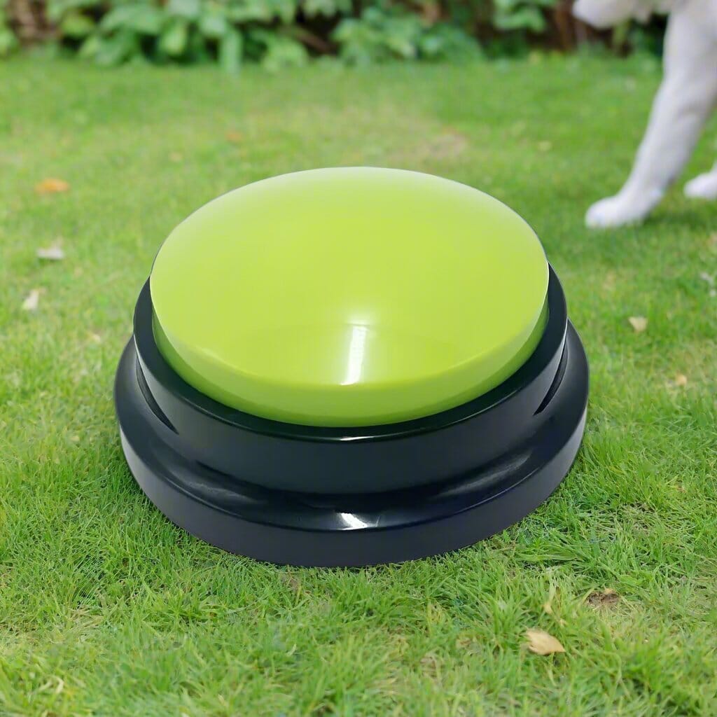 Jouet Interactif pour Chien / ChienParlant / Vert - au royaume des chiens