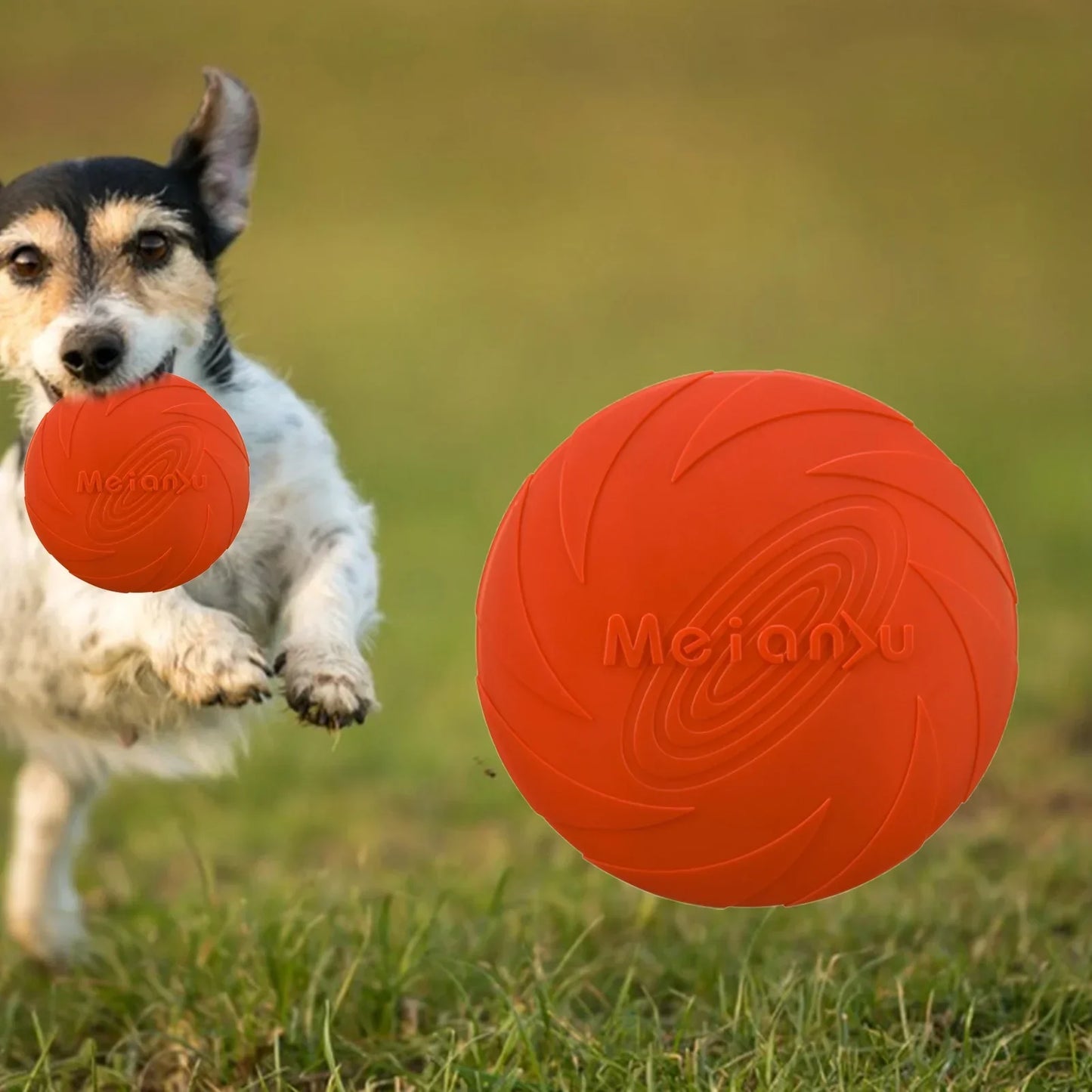 Frisbee chien - Rouge