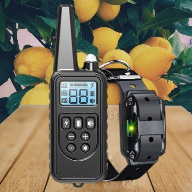 Collier anti aboiement chien- télécommande - noir