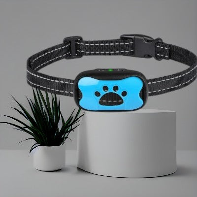 collier anti aboiement rechargeable bleu
