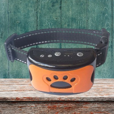 collier anti aboiement rechargeable-orange