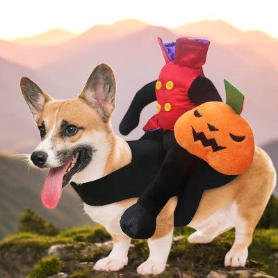 costumes pour chien / cavalier tete de citrouille