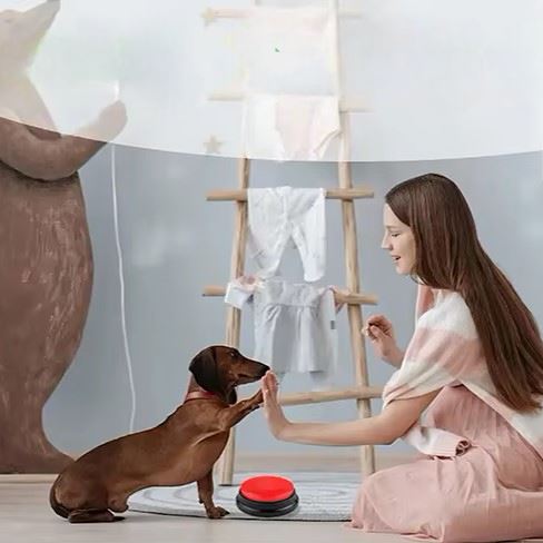 Jouet Interactif pour Chien / ChienParlant / Rouge - au royaume des chiens
