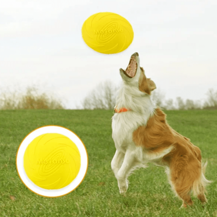 Frisbee chien - Jaune - au royaume des chiens