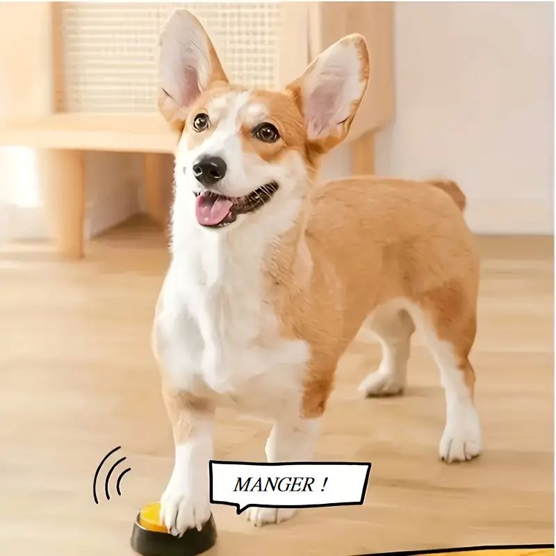 Jouet Interactif pour Chien / ChienParlant / Jaune - au royaume des chiens