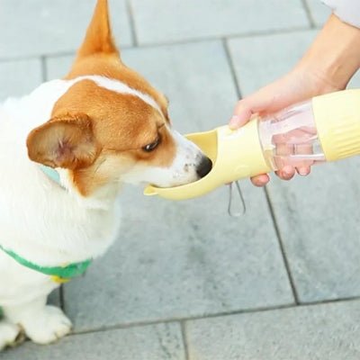 Gourde pour chien - Portable & Pliable - au royaume des chiens